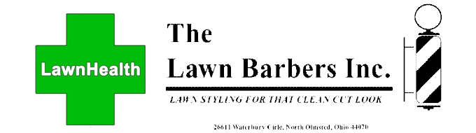 2021-03-31__1___2_-removebg-preview